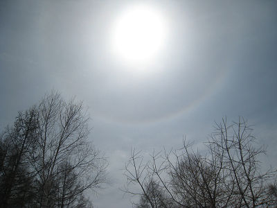 resize1736