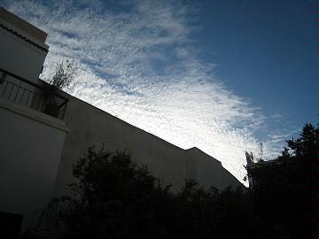 d8f799a5.jpg