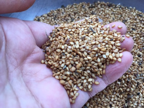 8D778270-5F4F-48E5-9AA8-972C8E4731F7