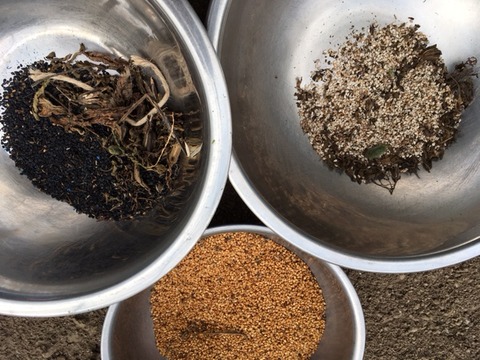 645448A3-5C5C-4514-A3C1-FF33D4642989-2