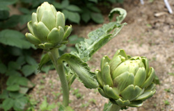 b5191cf1.jpg