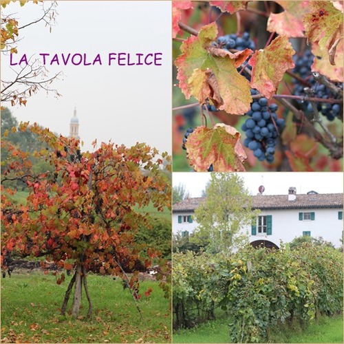 10 Giardino di Giovanna