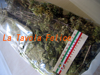 f7b7ef24.jpg