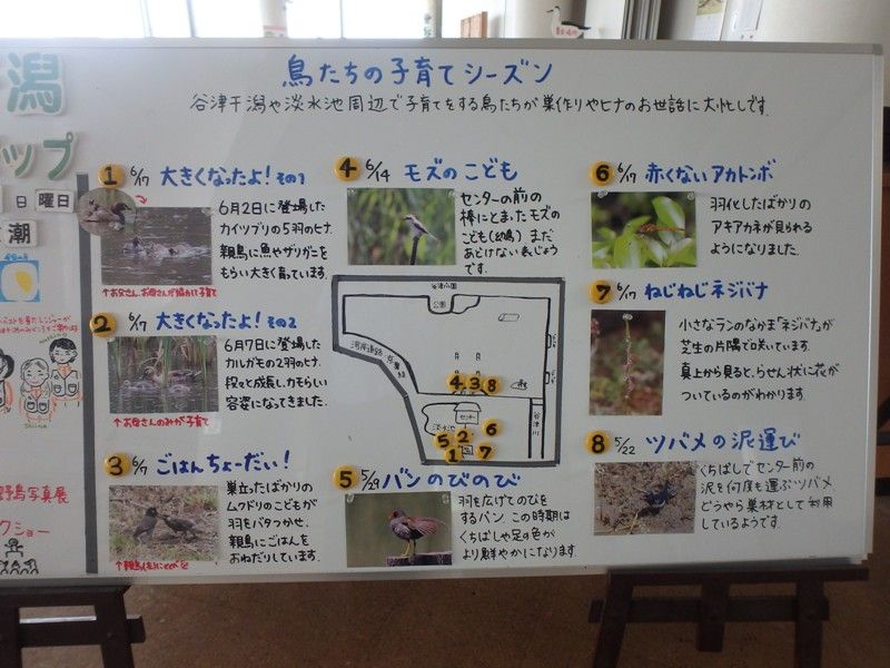 イメージ 3