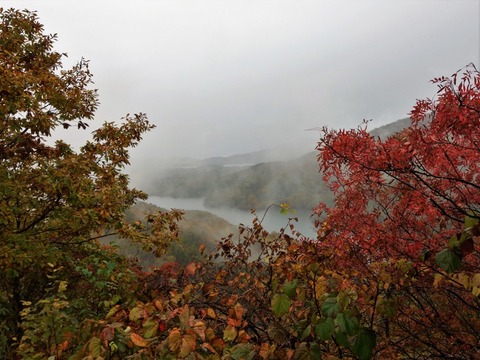 DSC01962