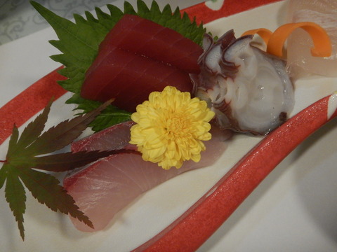 DSCN0071