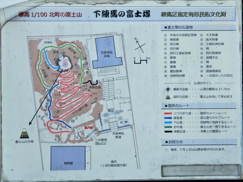 DSCN5568