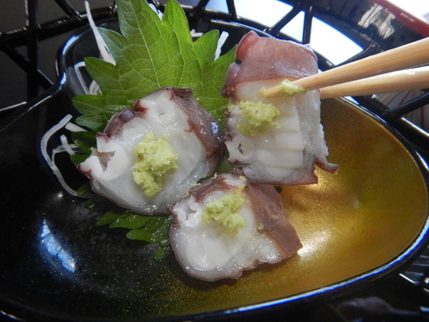 DSCN0143