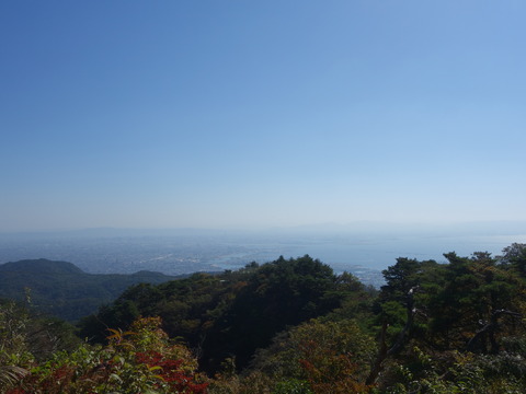 DSC01339