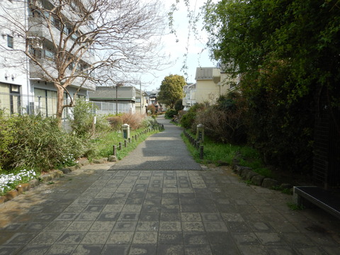 DSCN5543