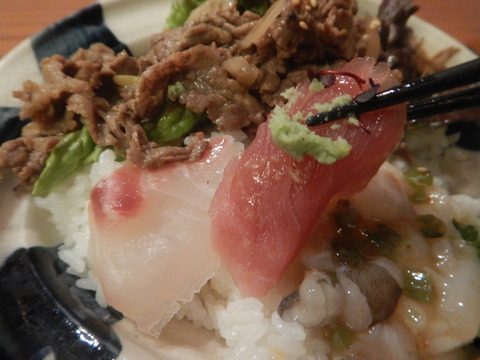 DSCN3505