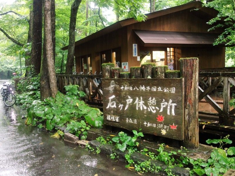 2017晩夏、東北の旅。㉔ 国道102号「奥入瀬」 : タワマンブラリ旅のblog