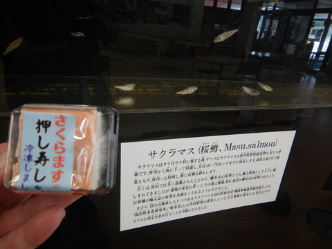 DSCN0756