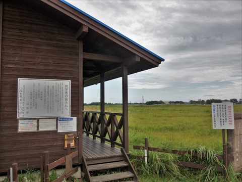 DSC00258千葉県　成東・東金食虫植物群落