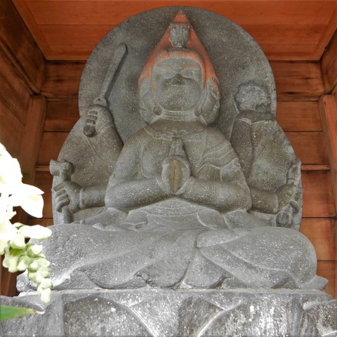 DSCN5577