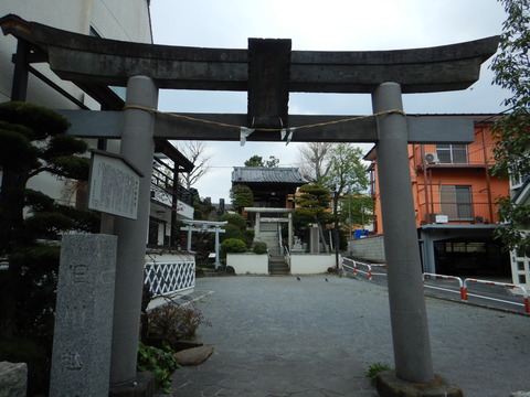 DSCN5564