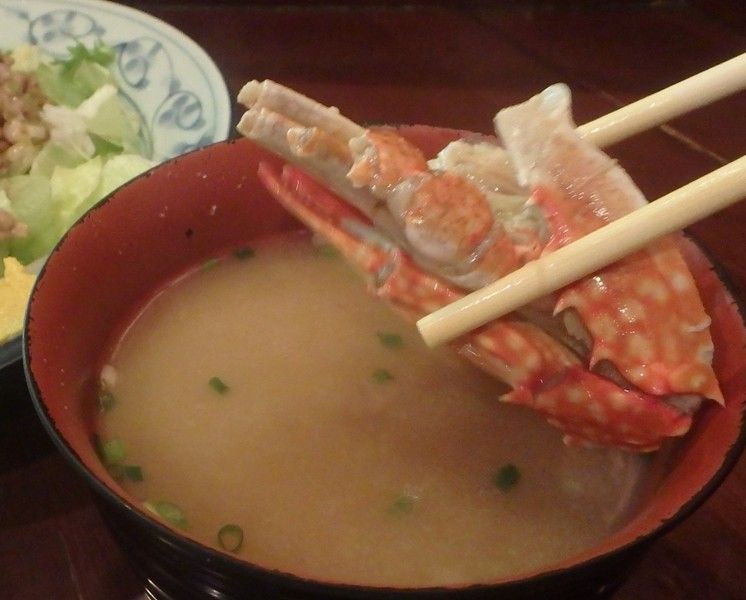 イメージ 14