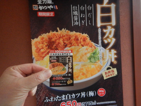 DSCN0994