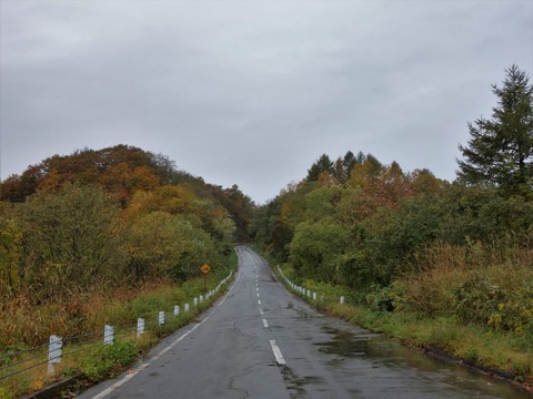 DSC01977