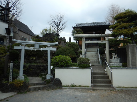 DSCN5566