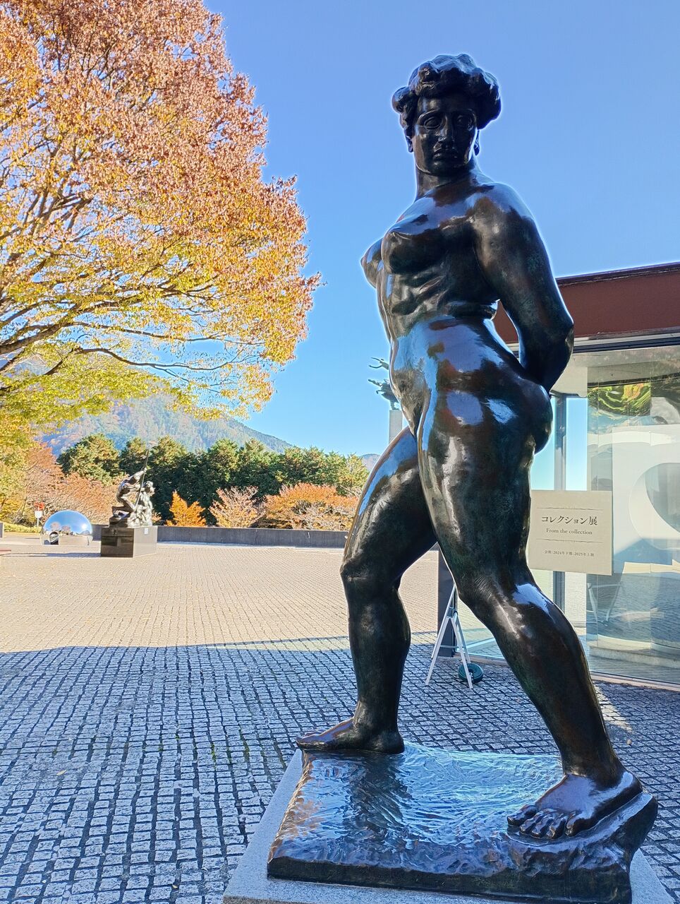 ピカソ凄い！ ＠箱根 彫刻の森美術館 : タワマンブラリ旅のblog