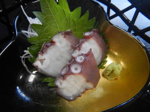 DSCN0130