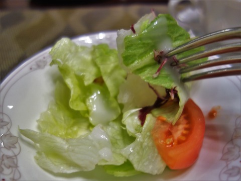DSC05514