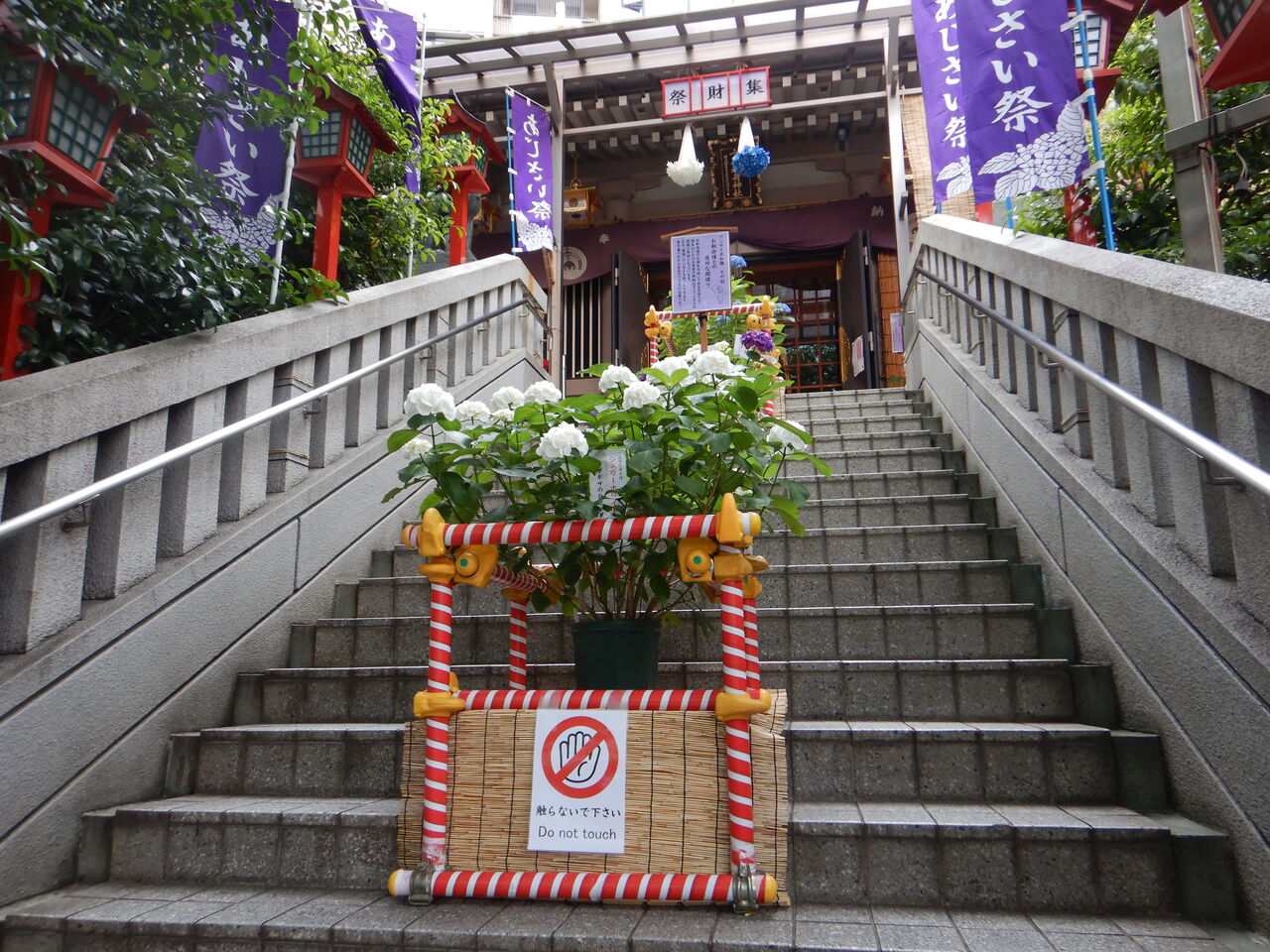集財祭 あじさいまつり 十番稲荷神社 タワマンブラリ旅のblog 集財祭 あじさいまつり 十番稲荷神社 タワマンブラリ旅のblog