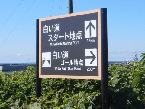 DSCN7803