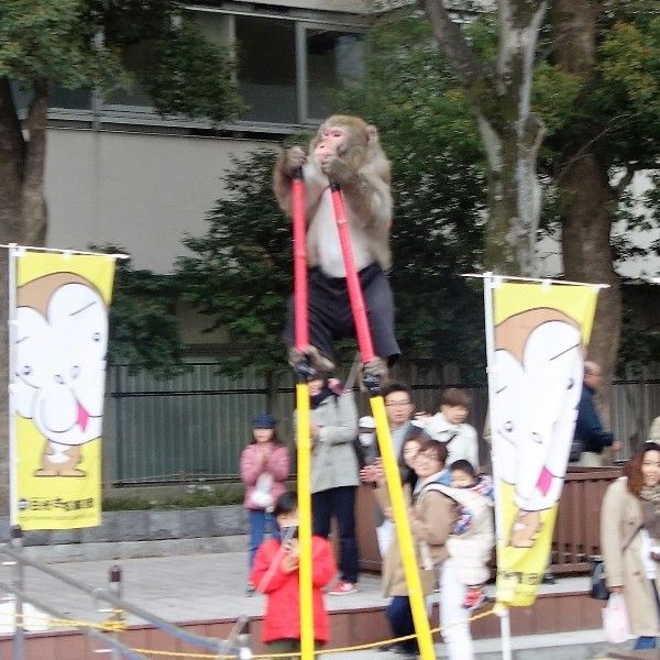 イメージ 8