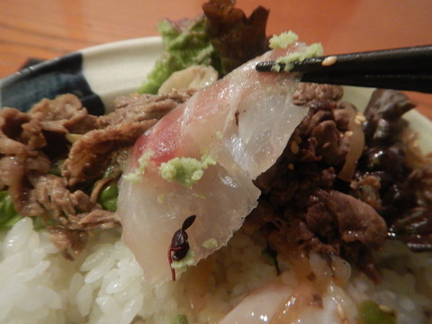 DSCN3508