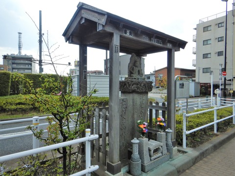 DSCN5534