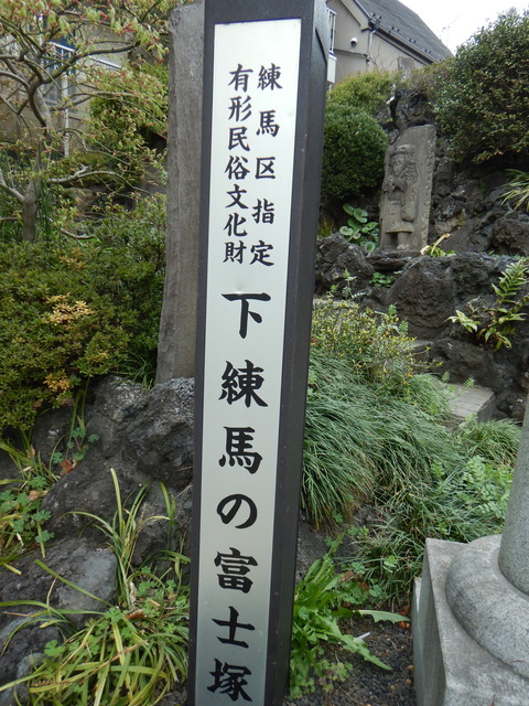 DSCN5569
