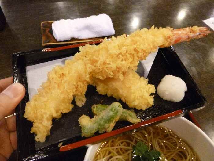 イメージ 16
