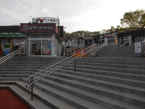 DSCN0973