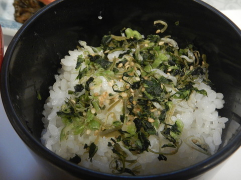 DSCN0092