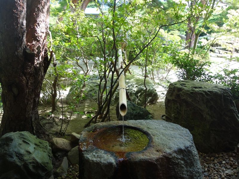 イメージ 12