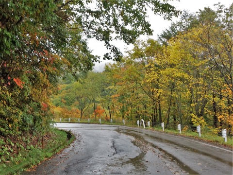 DSC01978