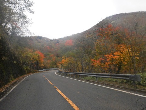 DSCN9878