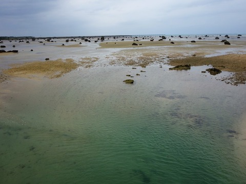 DSC00117転がる岩が作り出す独特の風景「佐和田の浜」
