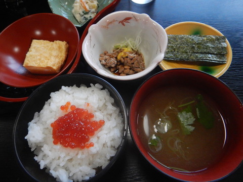 DSCN0137