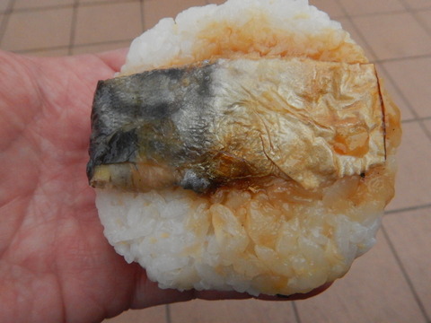 DSCN0537