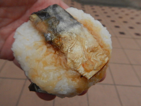 DSCN0539