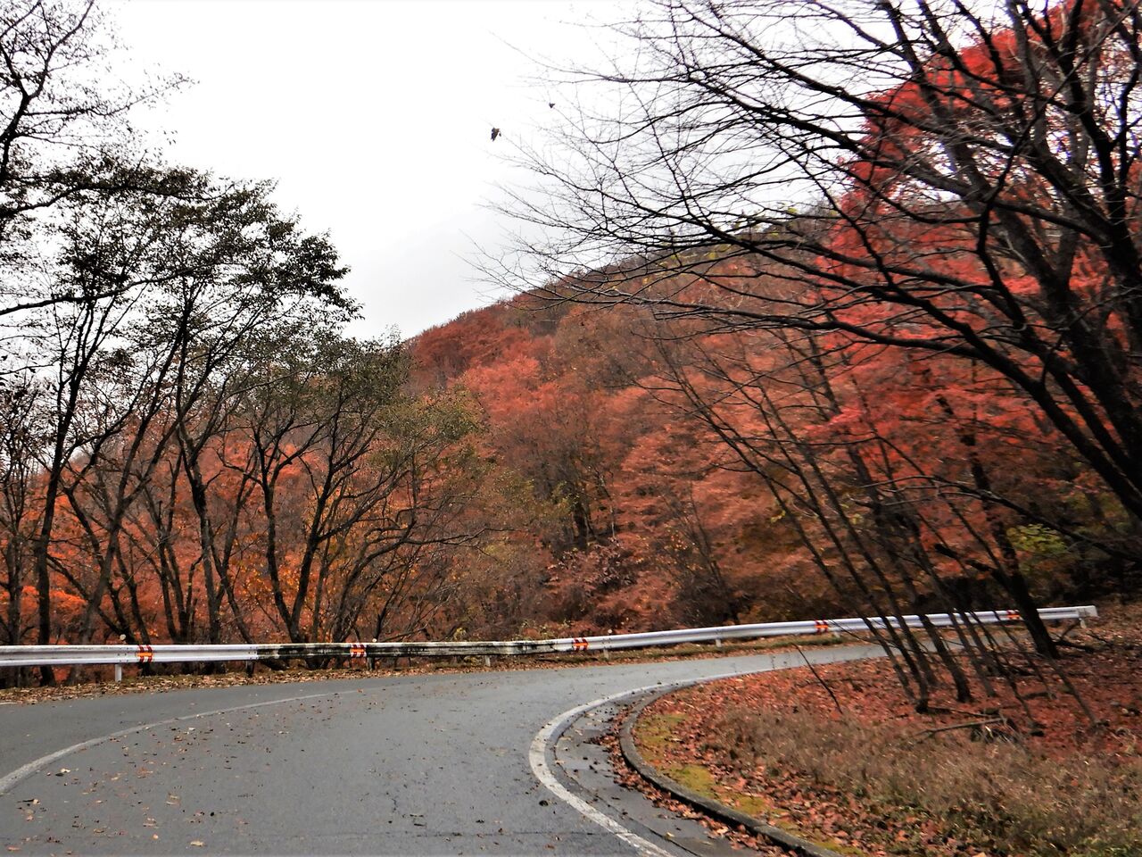 21日光の旅 いろは坂 明智平 タワマンブラリ旅のblog