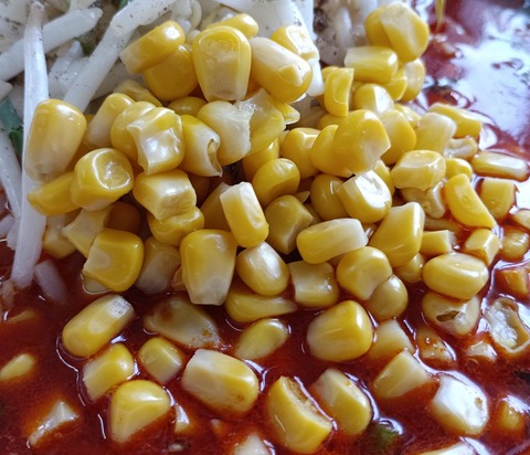 IMG_20250928_121434_1