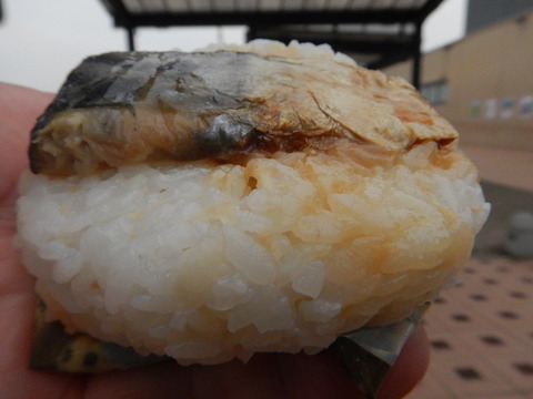 DSCN0538