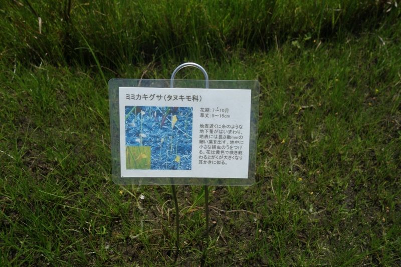 イメージ 13
