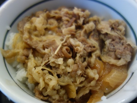 DSC02073 ミニ牛丼330円