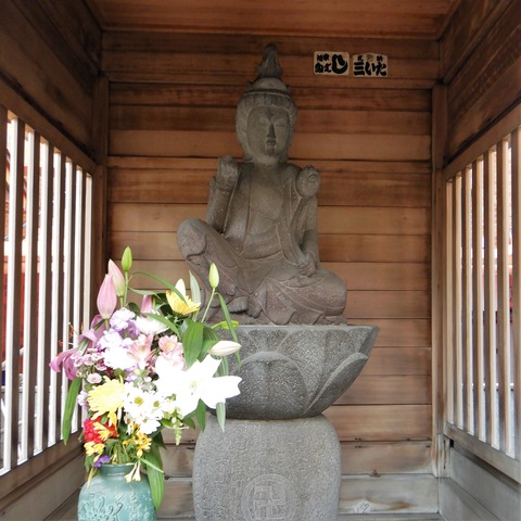 DSCN5578