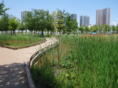 DSC04286